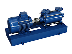 Multistage pumps SALVATORE ROBUSCHI